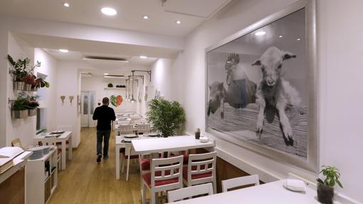Diez sitios en Córdoba donde combatir el calor con una fresca ensalada de tomate