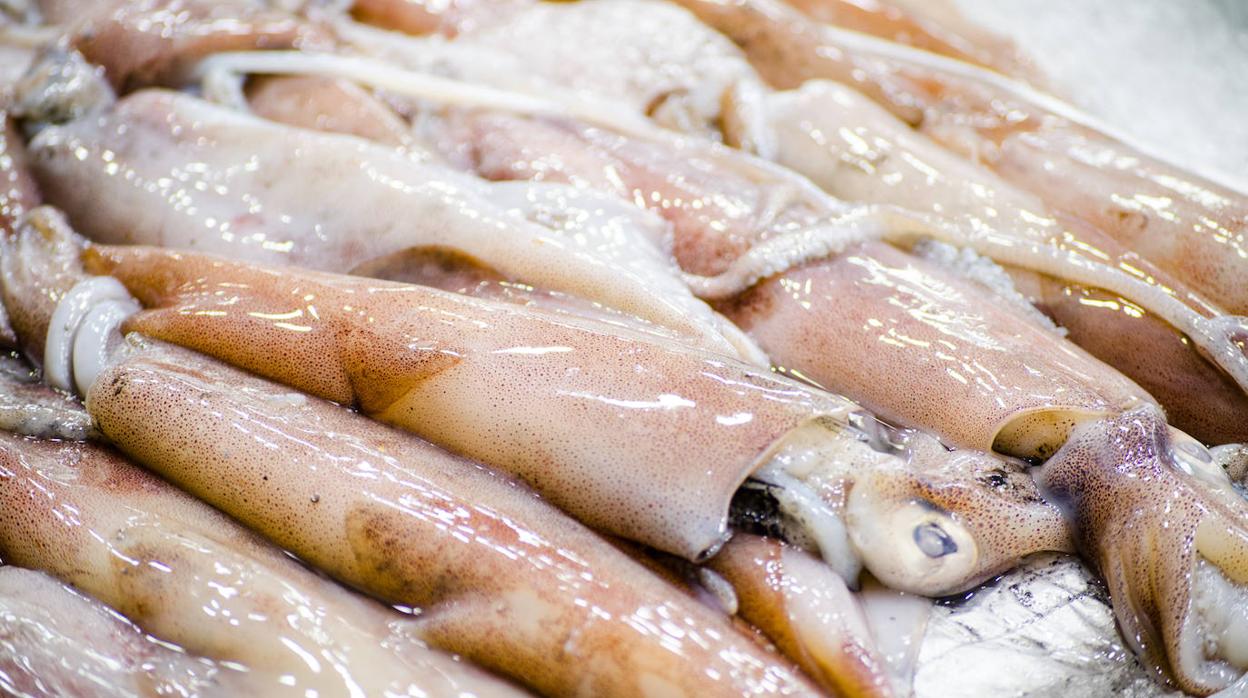 Limpiar calamares y sepias es sencillo si sigues los pasos que aquí te proponemos