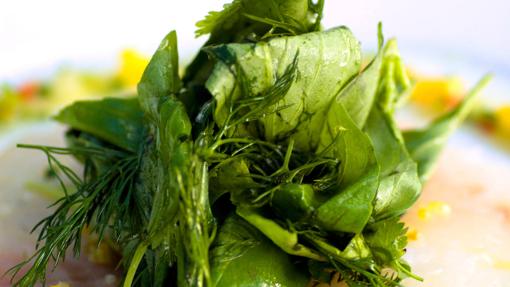 Las mejores ensaladas para combatir el calor del verano: recetas e ingredientes