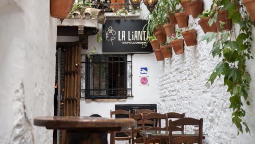 Dónde cenar y escuchar música en directo este verano en Córdoba