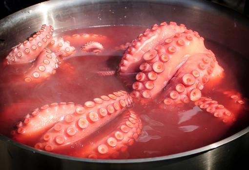 El tiempo de cocción depende del tamaño del pulpo