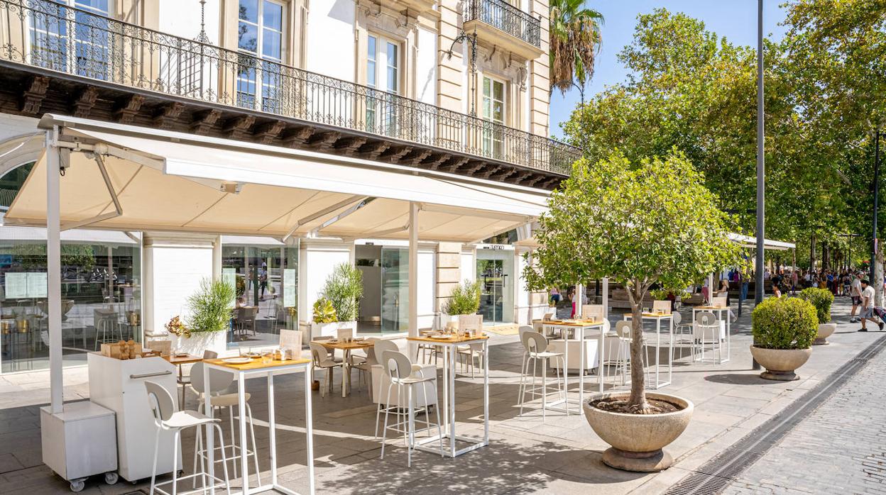 Ovejas Negras ofrece un «concepto provisional» mientras define cómo será el antiguo Mareantes