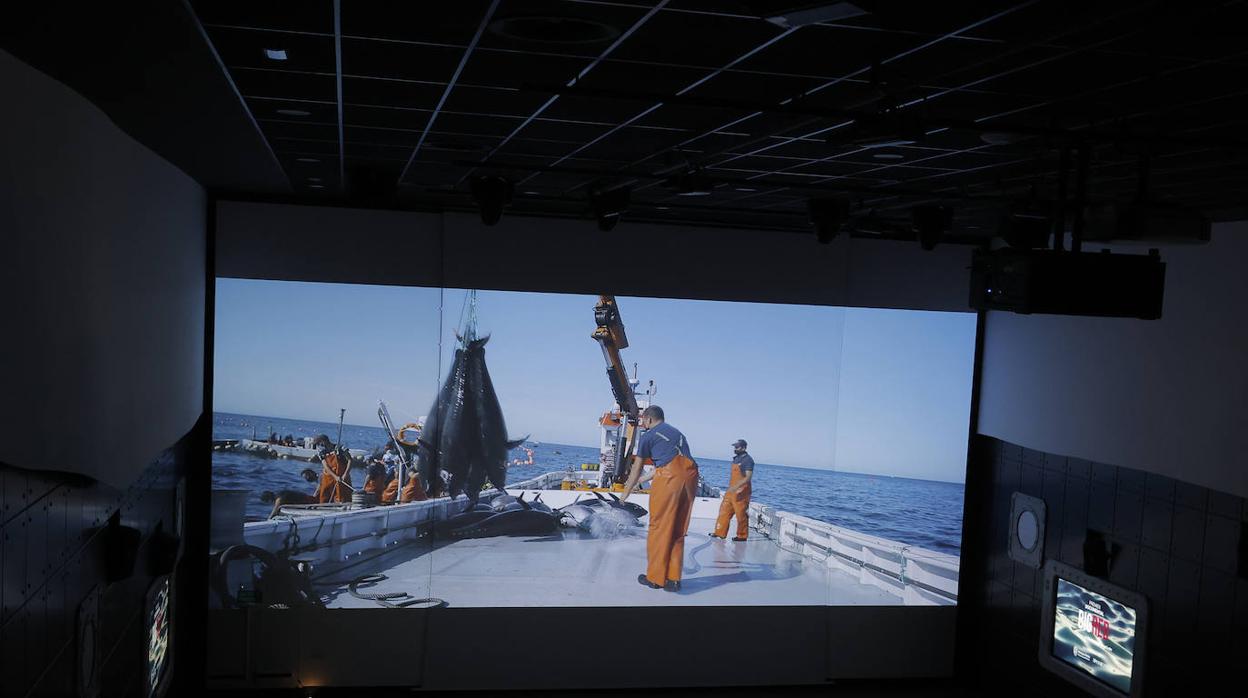 Imagen del documental durante su presentación en Sevilla