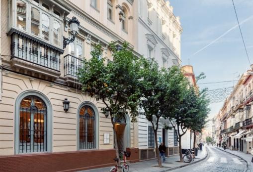 9 Musas, un templo del atún rojo salvaje en un palacete junto a la Catedral