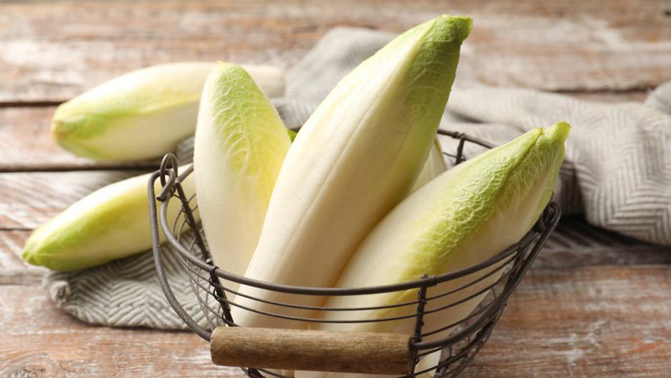 Endibia, las propiedades y usos de esta hoja para dar un toque diferente a tus ensaladas