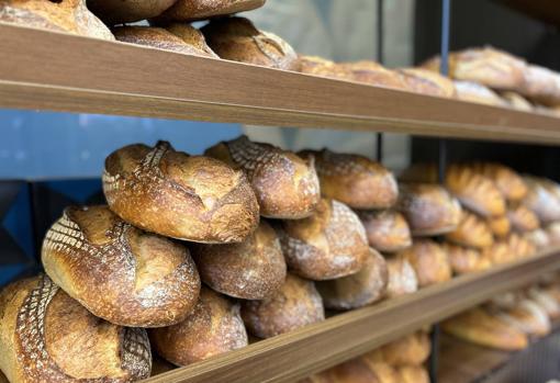 Domi Vélez, «mejor panadero del mundo», abre cafetería en Sevilla