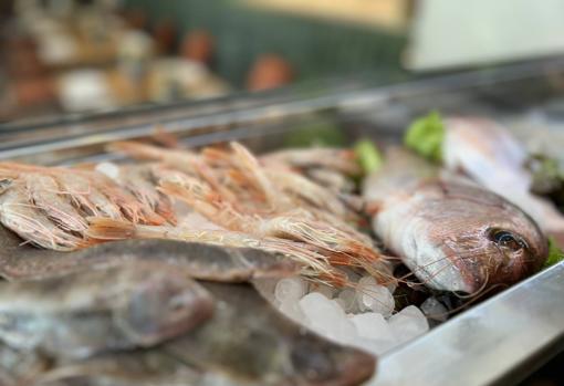 Doña Emilia, una vuelta a los orígenes de la familia Mayo