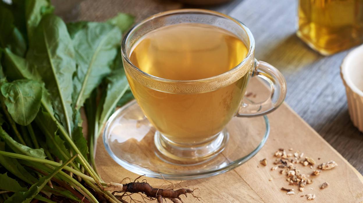 El té de diente de león aporta múltiples beneficios
