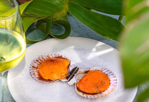 La Casa del Estanque arranca temporada: éstas son sus novedades