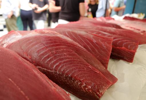 Seis restaurantes de Sevilla celebran las &#039;I Jornadas del atún de almadraba y sabores peruanos&#039;