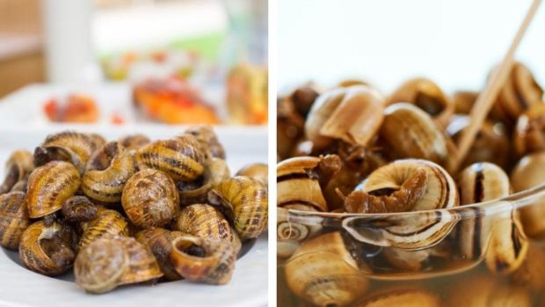 Concurso Caracolia Sevilla 2024