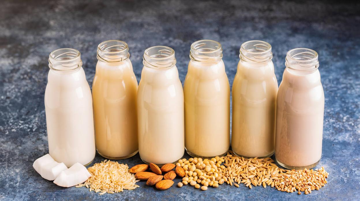 Existen muchas opciones para sustituir la leche en la cocina
