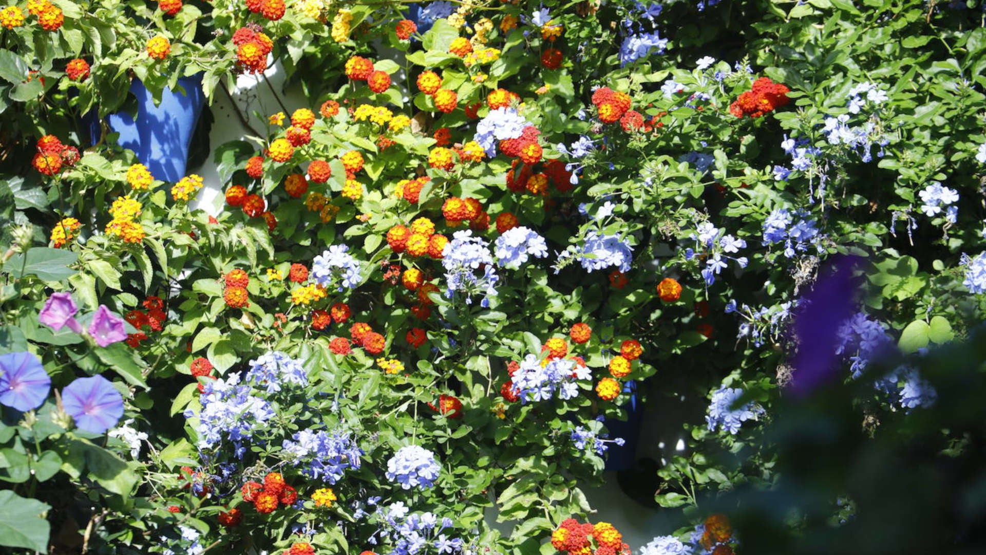 Dónde comer bien cerca de los patios de otoño de Córdoba