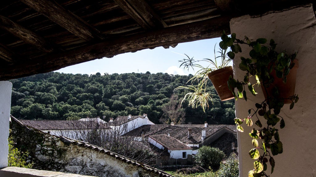 Restaurante El Padrino en Alájar. Restaurante El Padrino en Alájar