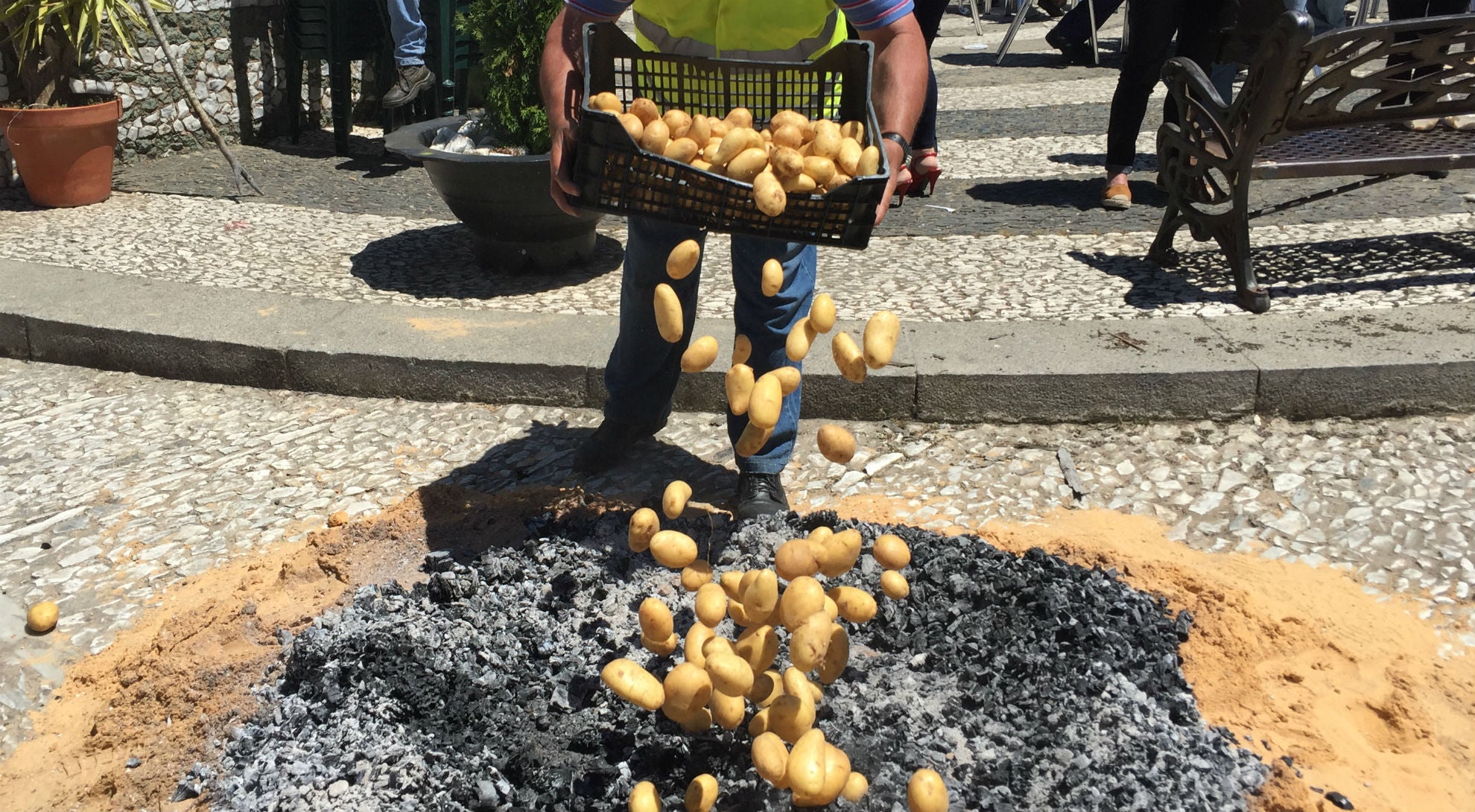 Borrajo de papas en Fuenteheridos