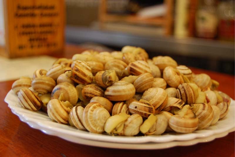 Manzanilla en Sevilla 618. Manzanilla en Sevilla