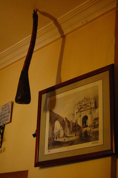 Caracoleando por La Florida 680. Caracoleando por La Florida