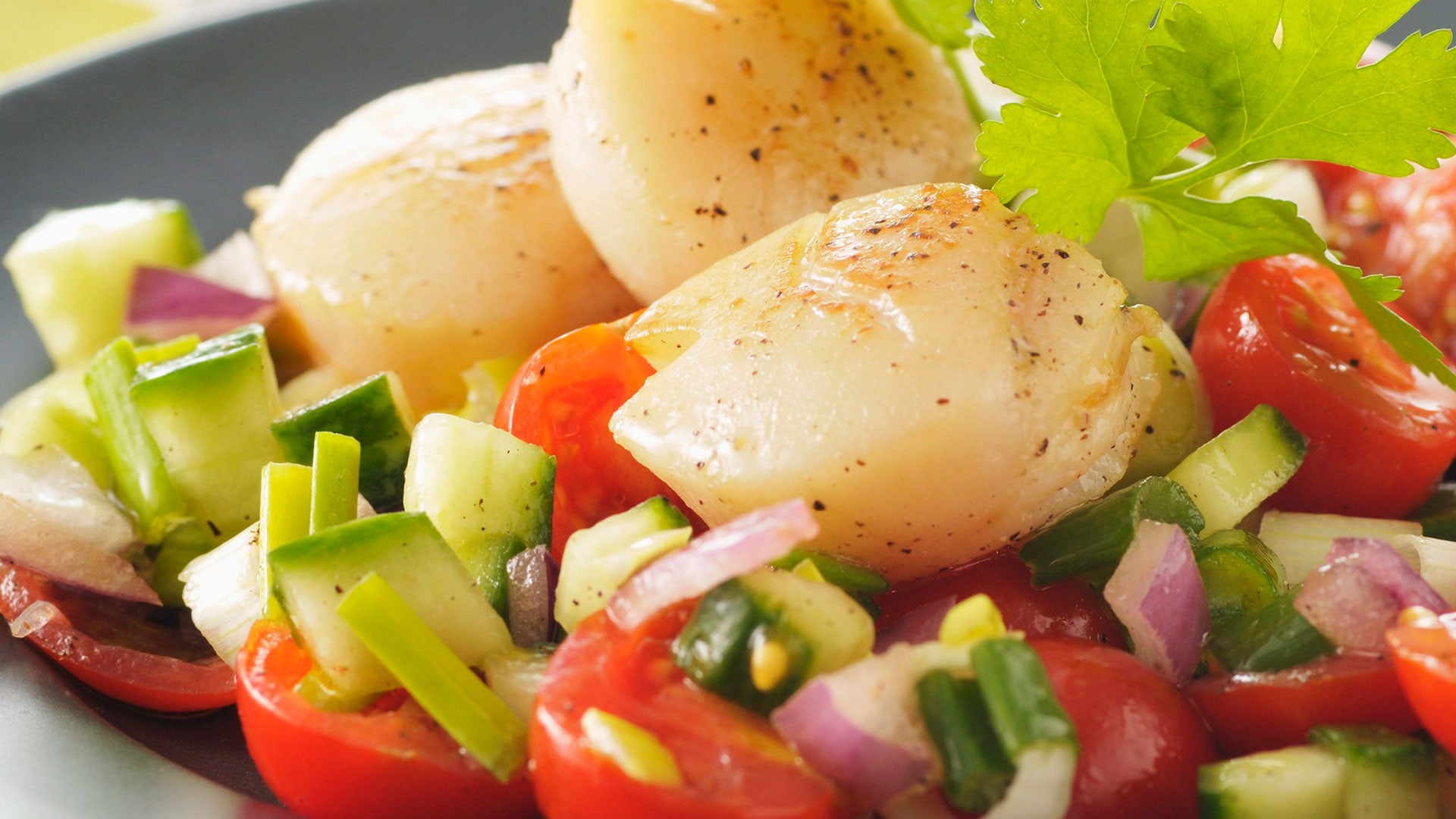 20 recetas rápidas y fáciles para Navidad