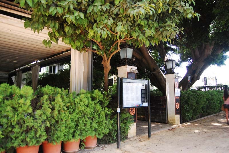 A la sombra del Parque de María Luisa 1103. A la sombra del Parque de María Luisa