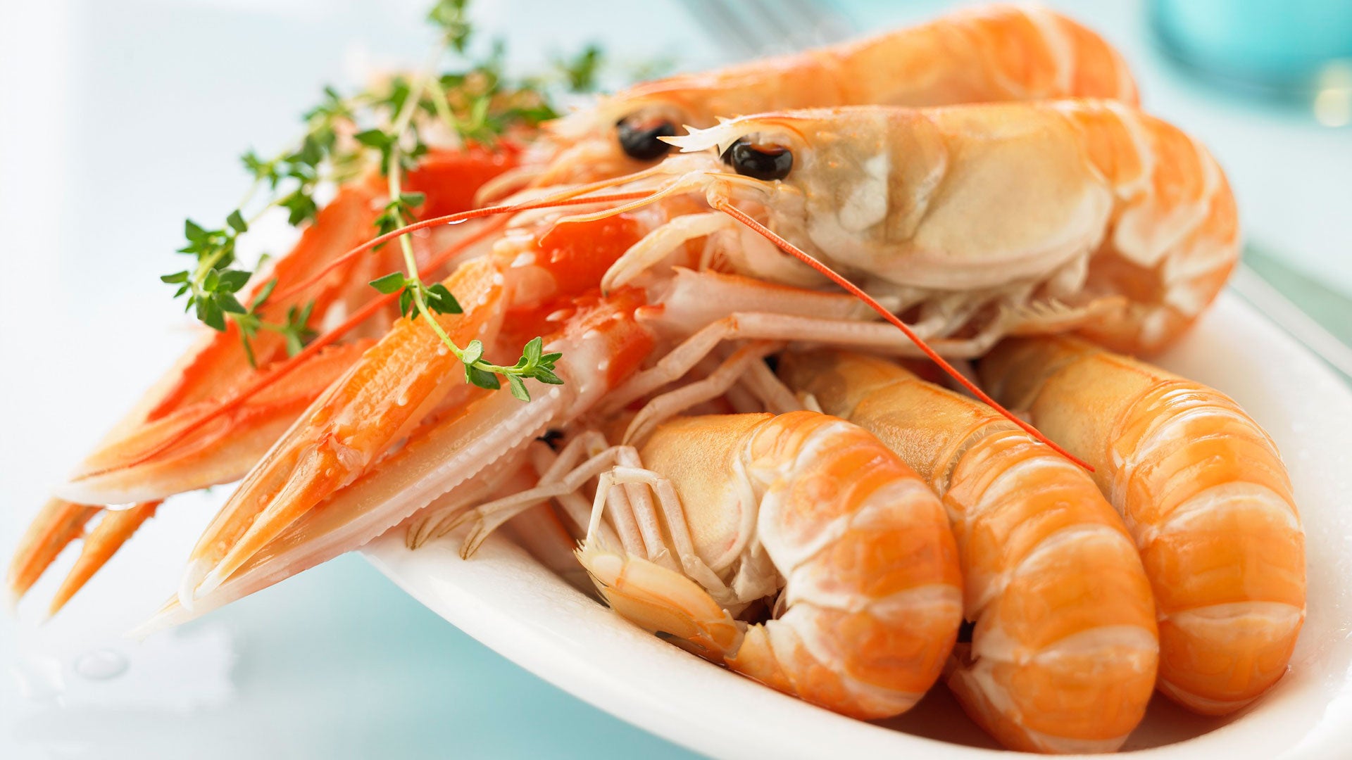 Langostinos cocidos con verduras - Gurmé