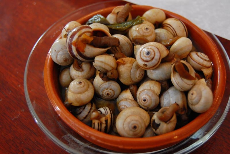 Cien años en La Alfalfa 1929. Cien años en La Alfalfa