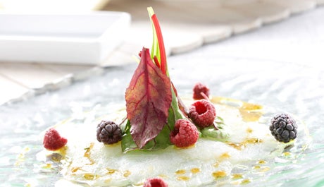 Carpaccio de bacalao con frutas rojas y vinagreta de mostaza - Gurmé