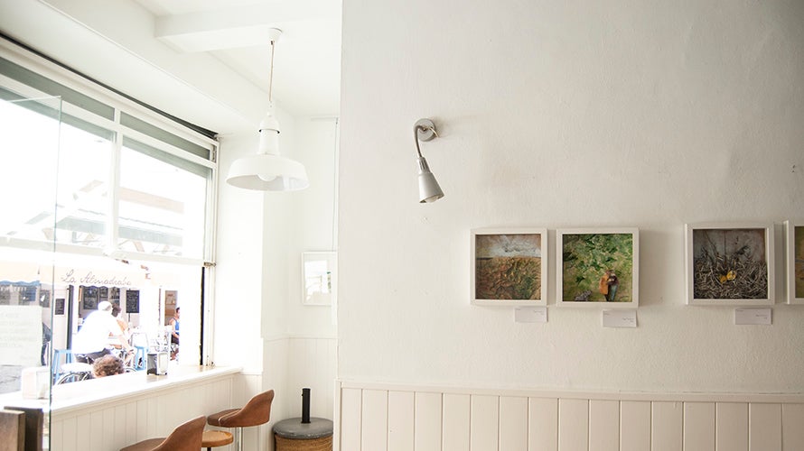 pitacasso-tapas-sevilla (1). 