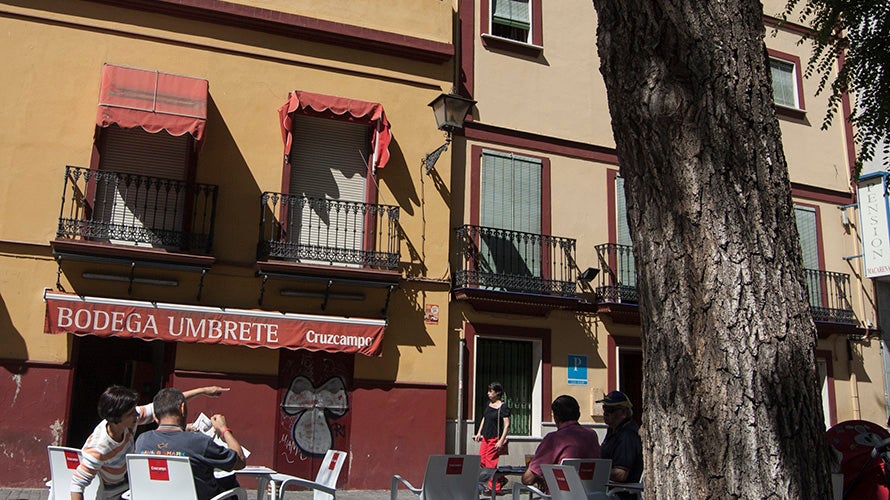 bodega-umbrete-sevilla (1). 