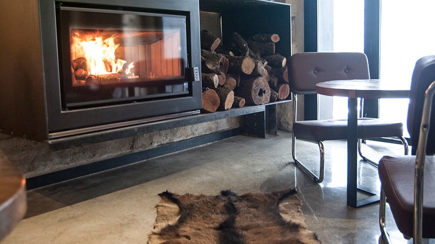 perro-viejo-tapas (6). 