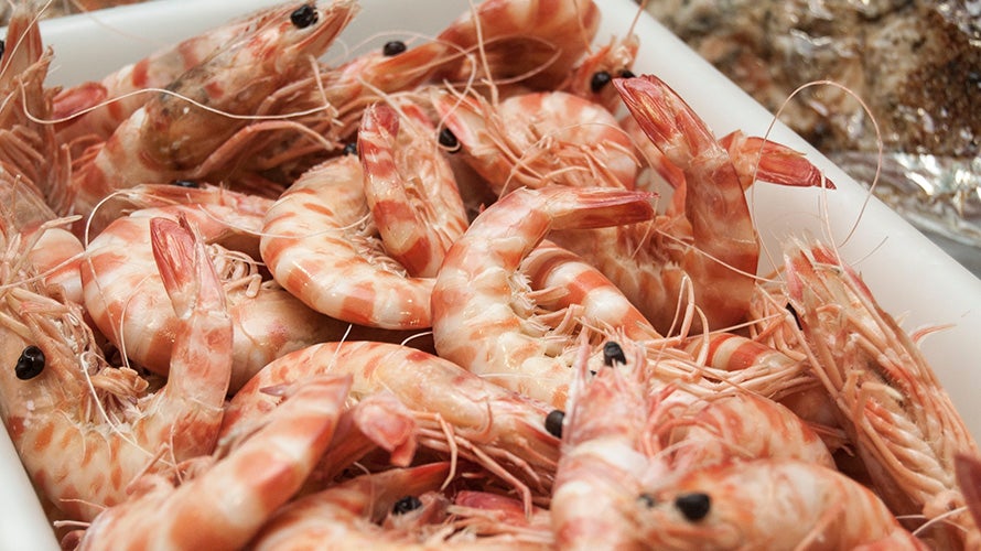 sancho-panza-tapas (4). 