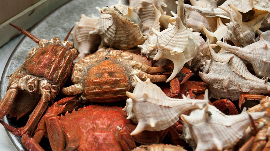 sancho-panza-tapas (8). 