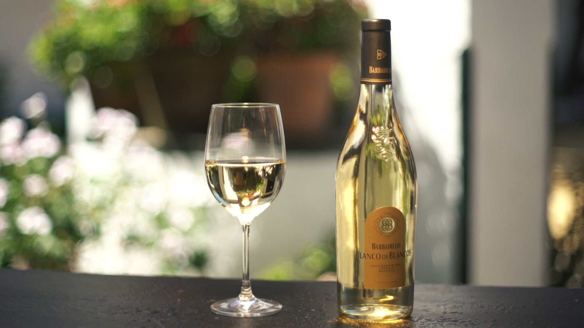 Barbadillo presenta en el Acuario de Sevilla su nueva apuesta por el vino blanco