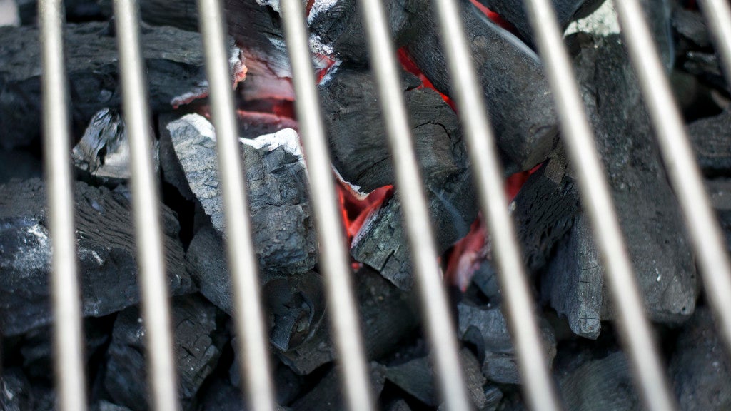 meson-palmeras-salteras-3. 