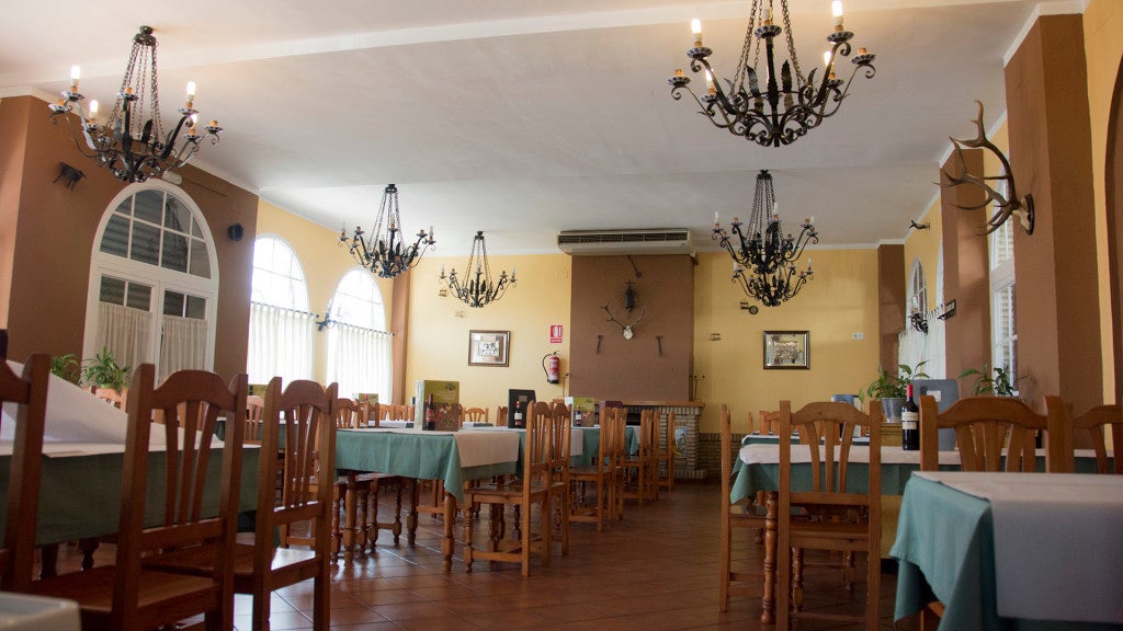 meson-palmeras-salteras-6. 