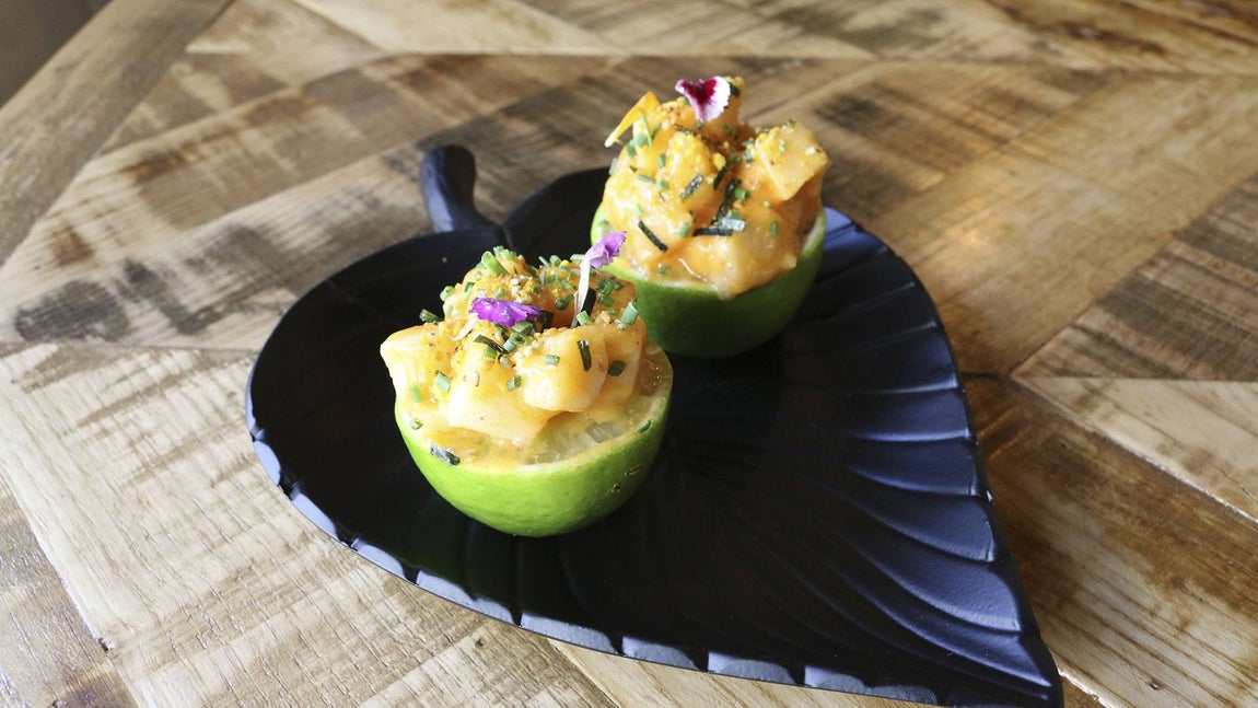 Lobo_Lopez_2017_109.jpg Kimuchy de pez mantequilla. 