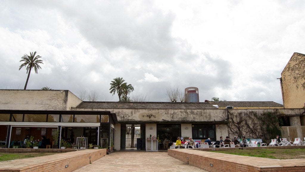 Café Cartuja en Sevilla. 