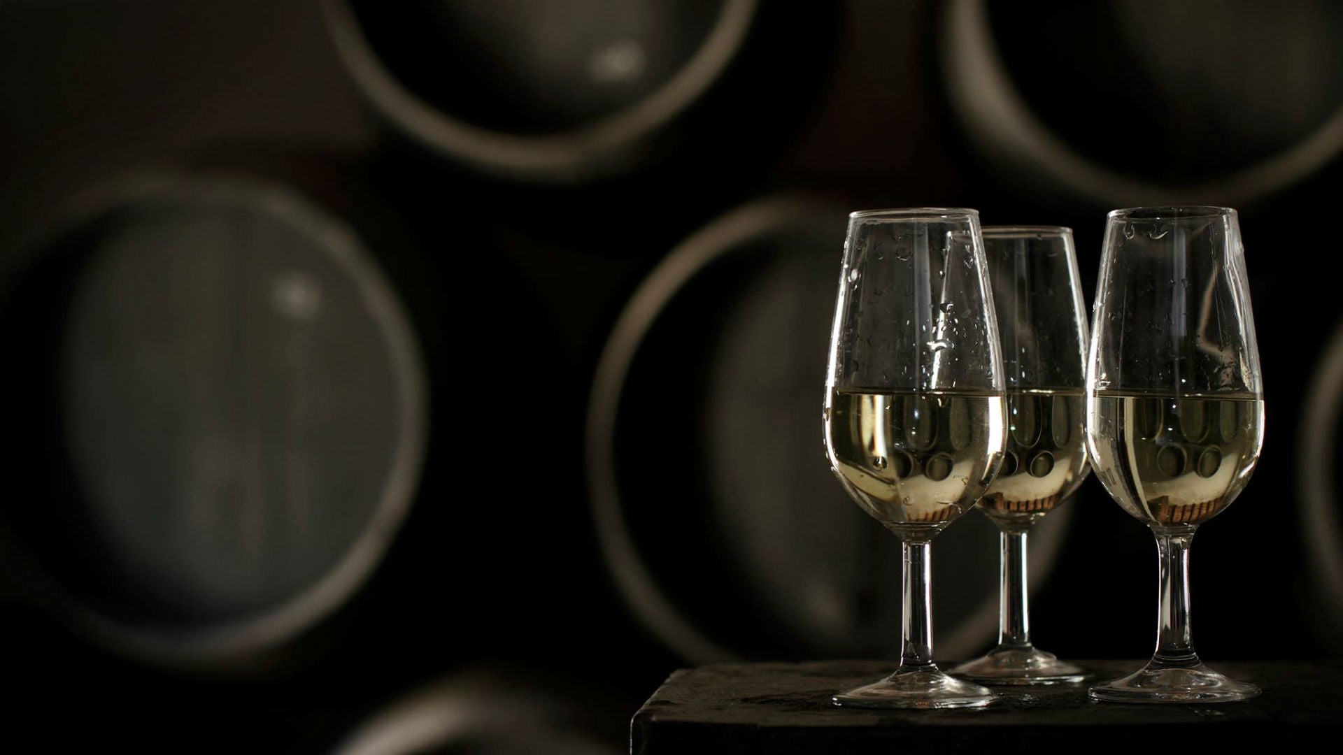 Tiempo de mosto, el elixir del Aljarafe