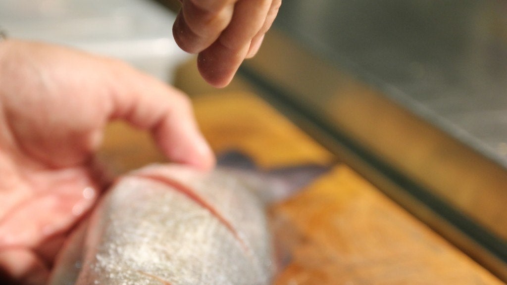 paralelo-21. Paralelo