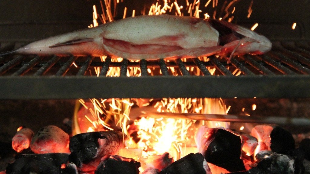 paralelo-23. Paralelo