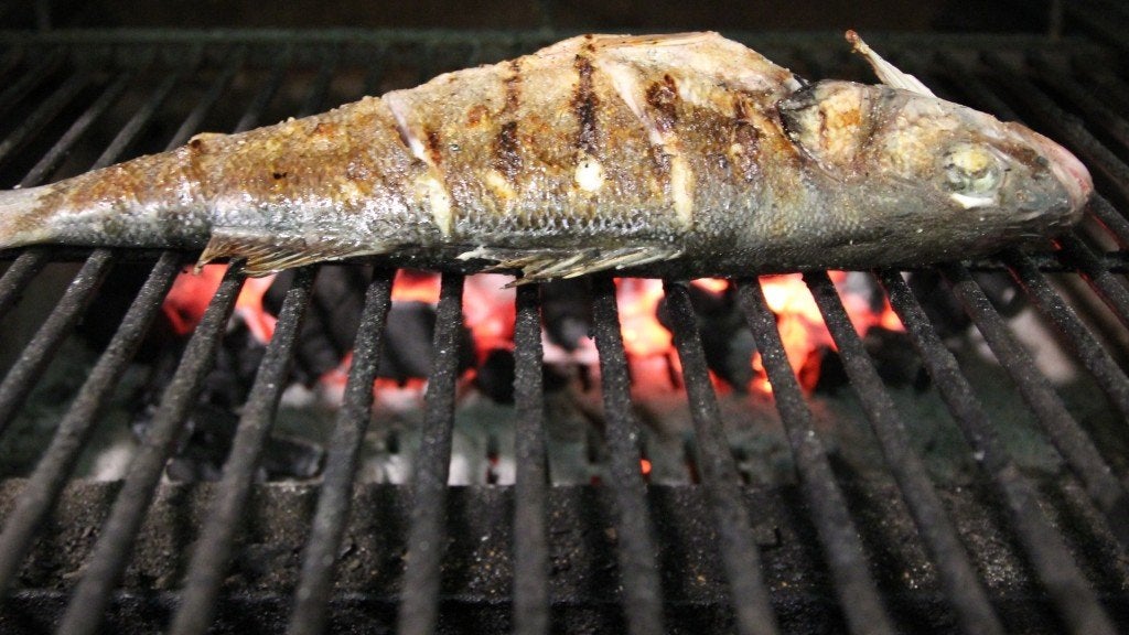 paralelo-24. Paralelo