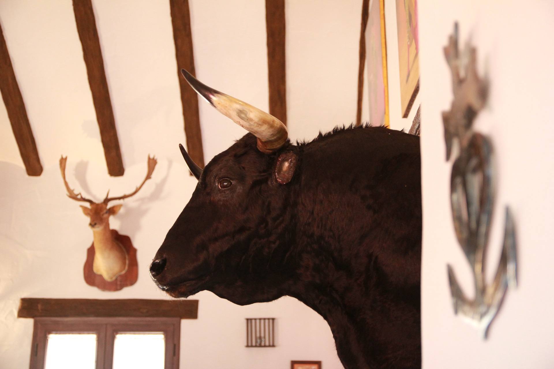 Venta Mauro (Villamanrique de la Condesa)