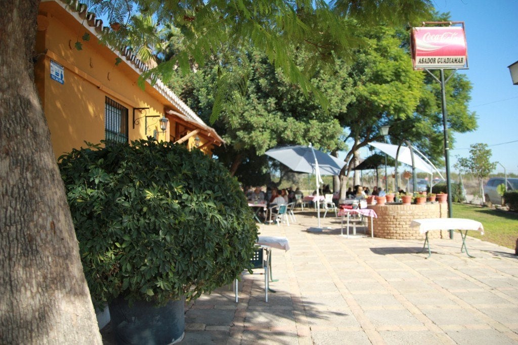 aznalcazar_asador-guadiamar-1. 