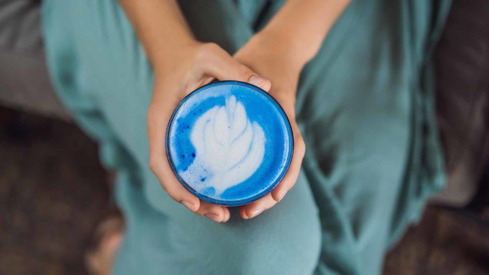 Espirulina.¿Qué es? Beneficios y propiedades