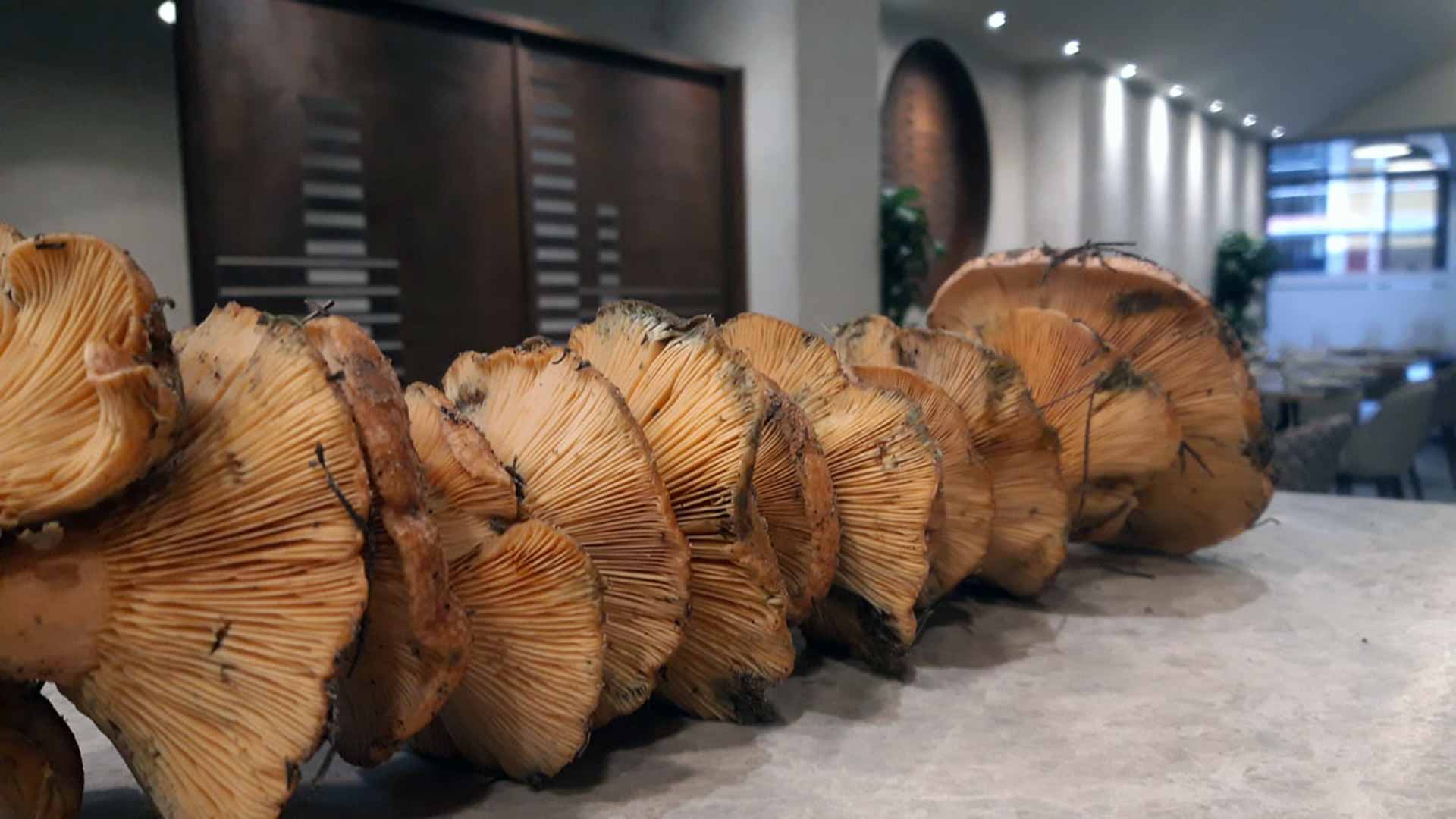 Cocina de otoño: dónde tomar setas de temporada en Sevilla