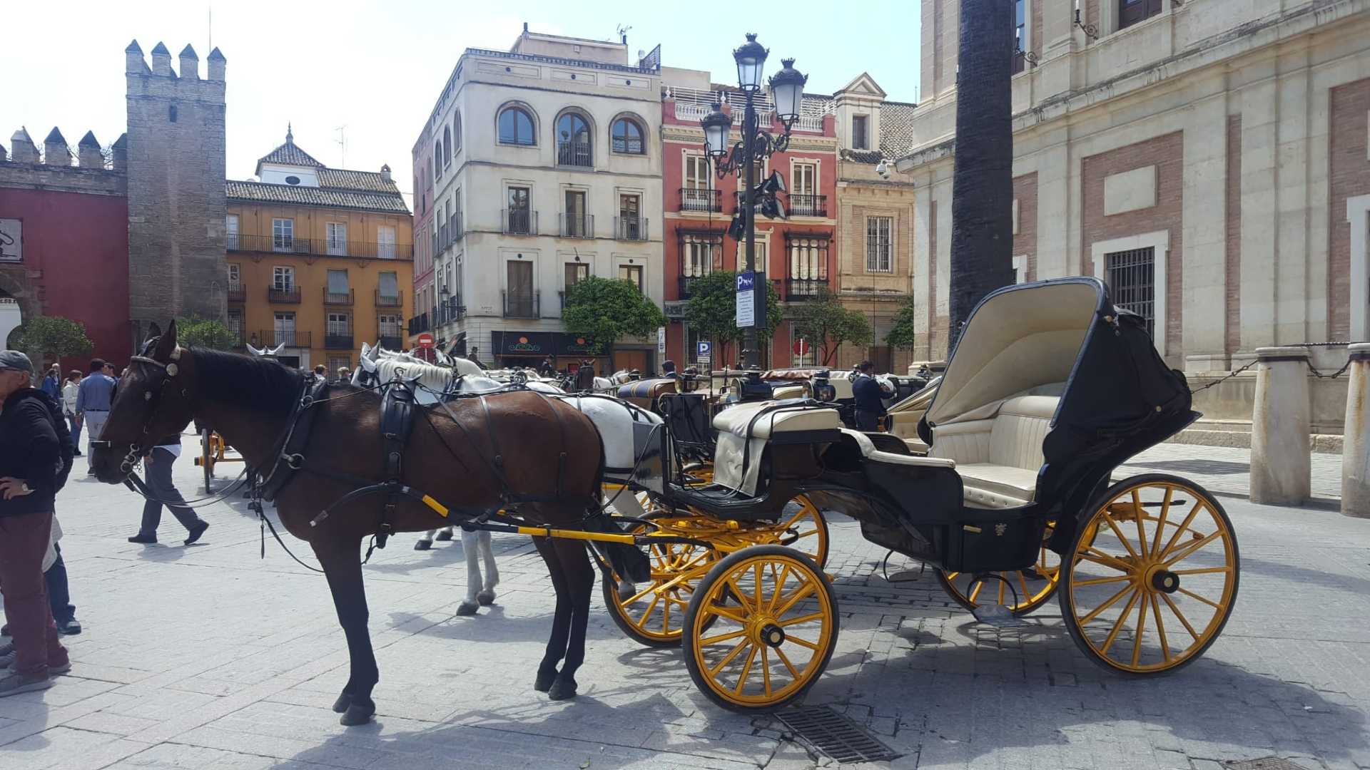 Guichot 7 se suma a la iniciativa de paseos en coche de caballo y menú por 20 euros