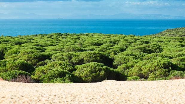 Los cuatro paisajes de dunas más espectaculares de Andalucía