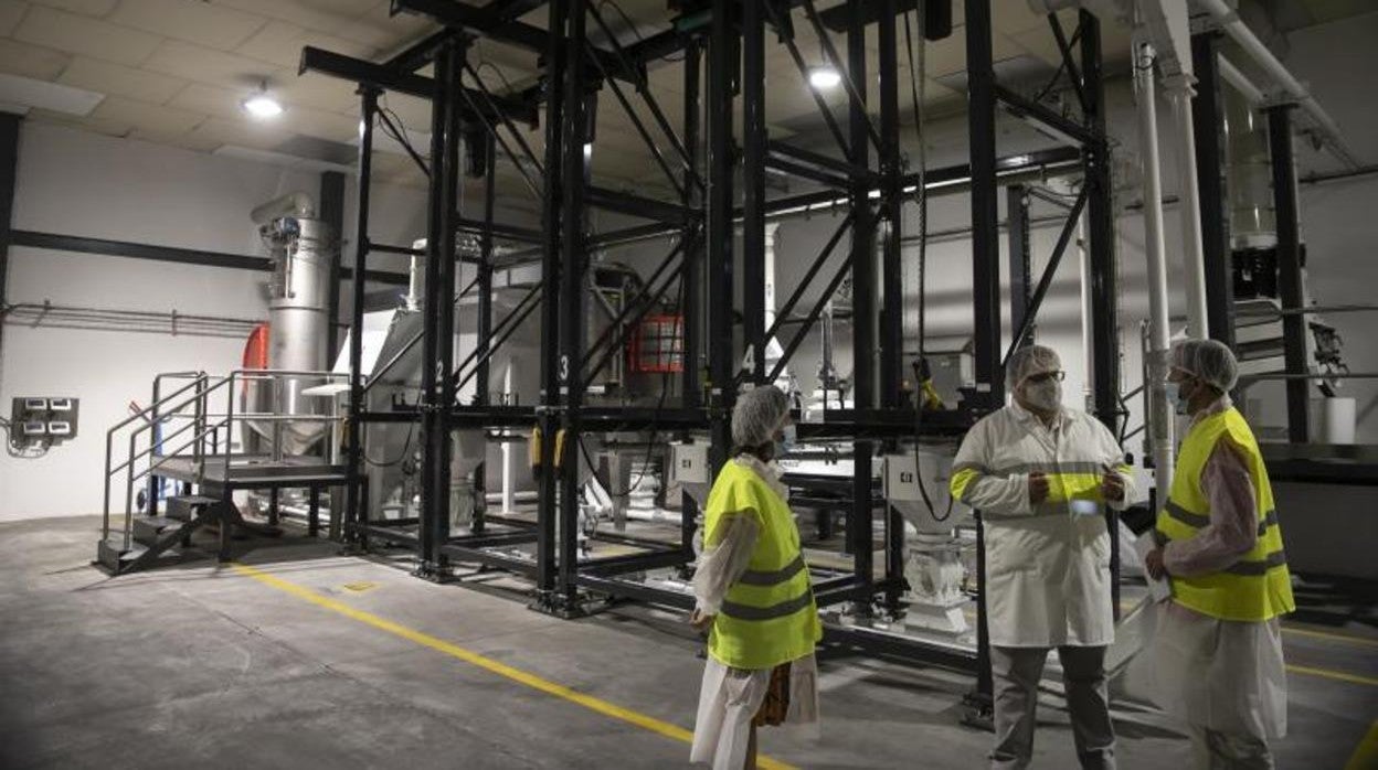 Córdoba, la gran fábrica de Mahou para cervezas artesanales
