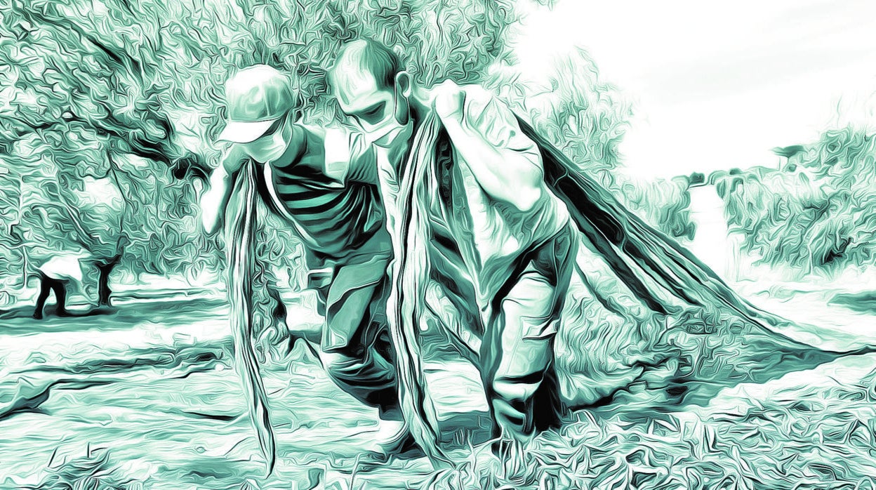 Miguel Afán de Ribera: El expolio de 12.000 millones al desarrollo rural en la nueva PAC