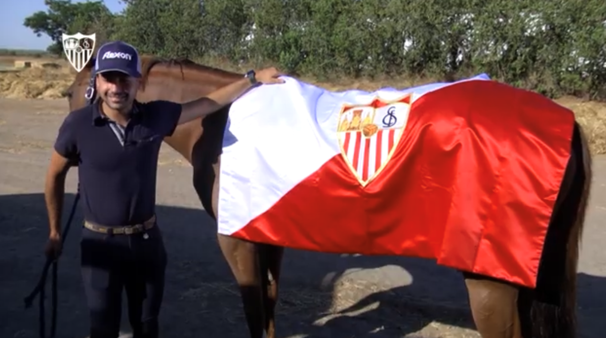 Francisco Gaviño, posando con una bandera del Sevilla FC sobre su yegua «Source de la Faye»