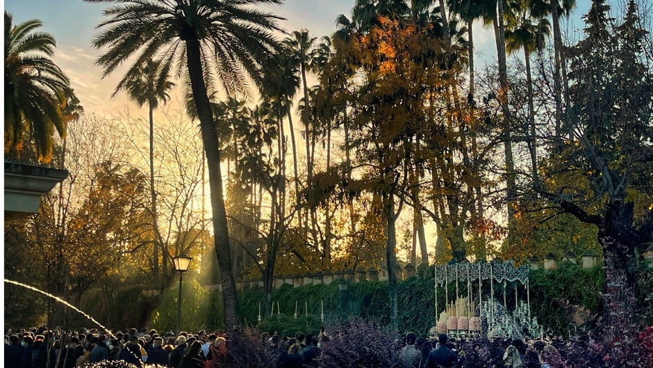 La imagen. Primavera de diciembre